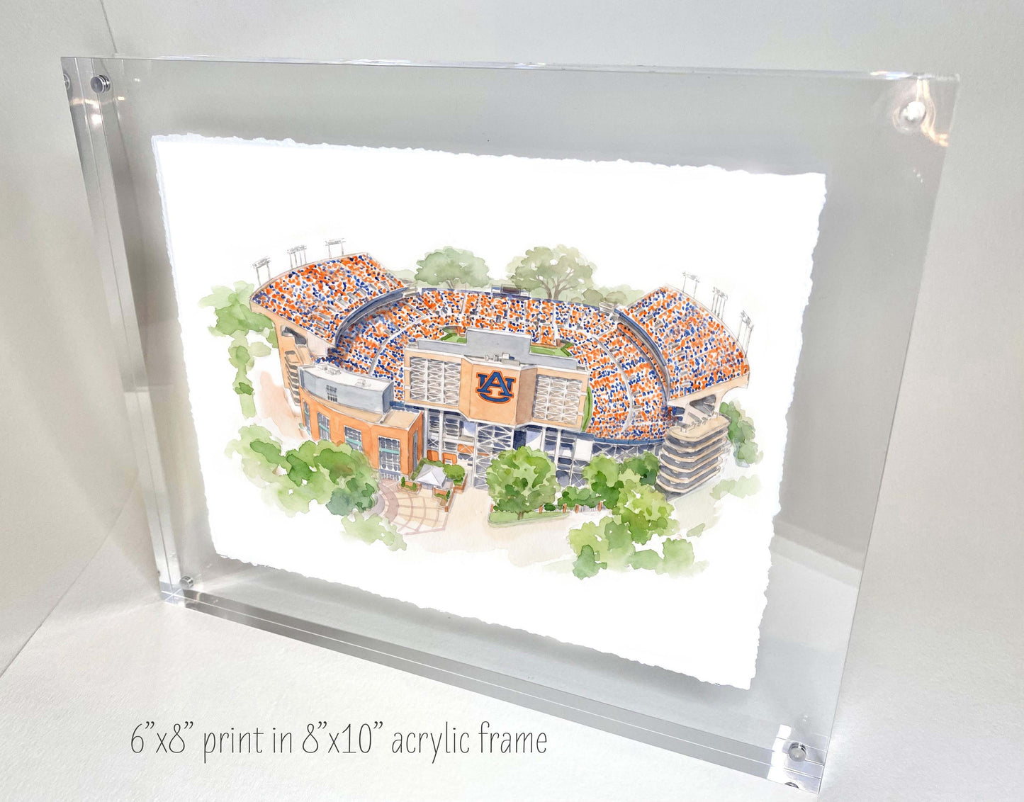 Jordan-Hare Stadium Print