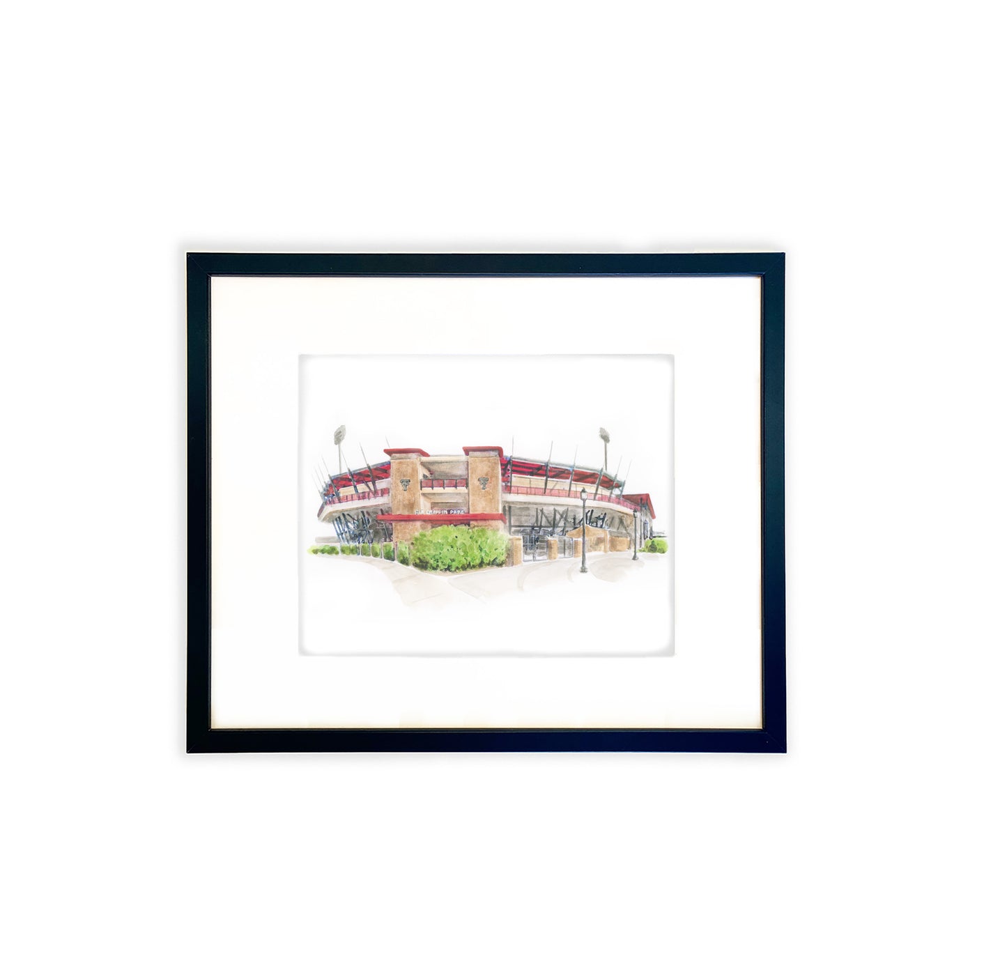 Dan Law Field at Rip Griffin Park Print