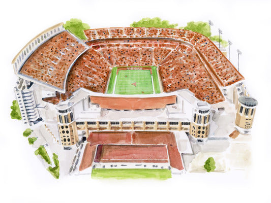 Darrell K. Royal Stadium Print