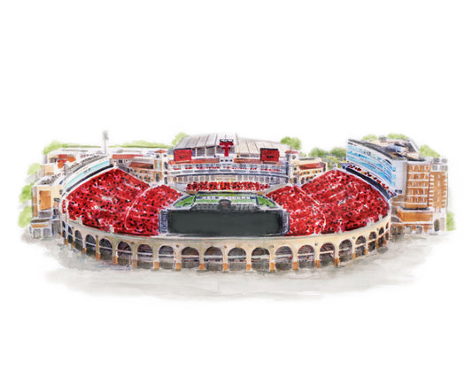 Jones AT&T Stadium Print