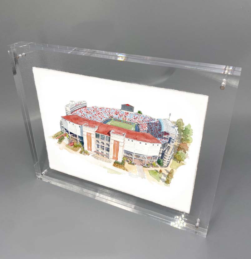 Vaught Hemingway Stadium Print