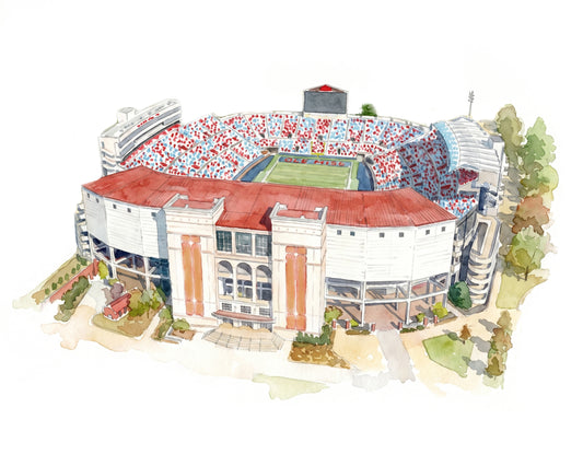 Vaught Hemingway Stadium Print