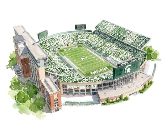 Spartan Stadium Print